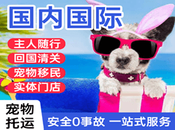 图木舒克唐王城航空快运国际宠物托运 【国